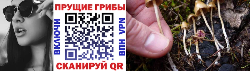 закладки mega как зайти Галлюциногенные грибы Magic Shrooms Красноармейск